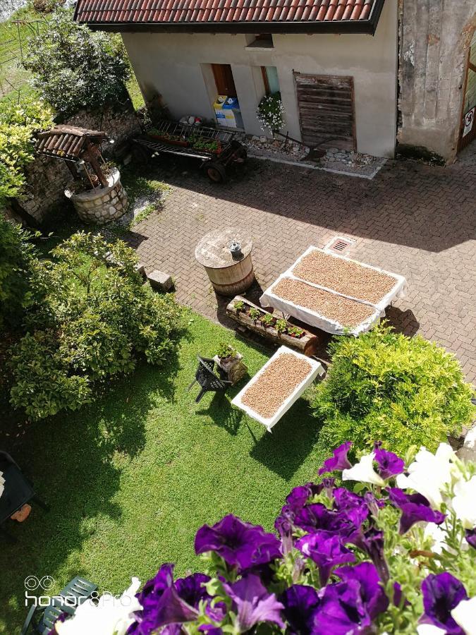 Agriturismo Antica Pieve Limana Экстерьер фото